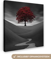 Canvas Schilderij Zwart-wit foto met een rode boom - 50x50 cm - Wanddecoratie