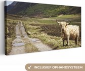 Peinture sur toile Highlander écossais - Chemin - Forêt - 40x20 cm - Décoration murale