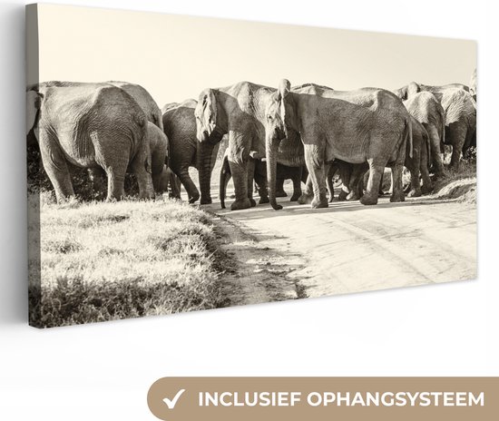 Canvas Schilderij Afrikaanse Olifanten sepia fotoprint - 80x40 cm - Wanddecoratie