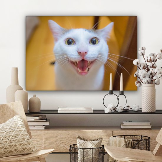 Chat souriant gros plan 90x60 cm - Tirage photo sur toile (Décoration murale salon / chambre)