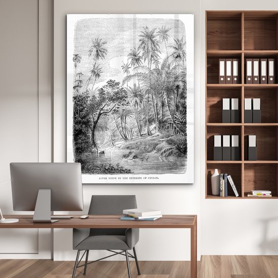 MuchoWow® Peinture sur Verre - Une Illustration d'une Rangée de Palmiers au Sri Lanka - 120x160 cm - Peintures sur Verre Acrylique - Photo sur Glas