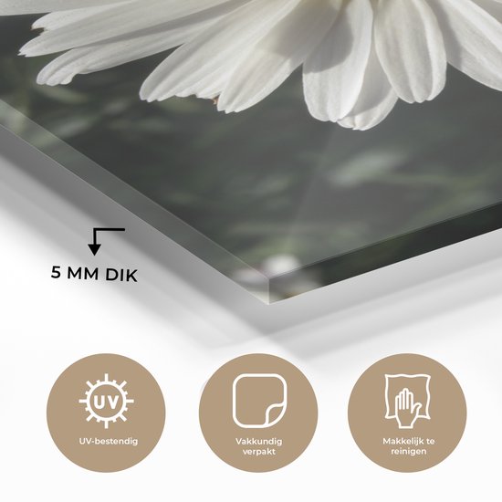 MuchoWow® Peinture sur Verre - Marguerite - 60x80 cm - Peintures sur Verre Acrylique - Photo sur Glas