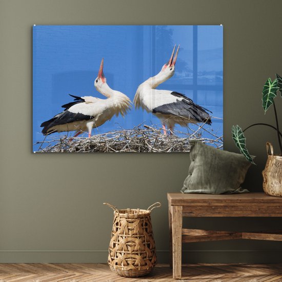 MuchoWow® Peinture sur verre 90x60 cm - Peinture sur verre acrylique - Belle image de deux cigognes dans leur nid - Photo sur verre - Peintures