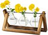 Propagation Station For Plants Upgrade Bulb Vase Planter With Wooden Standard Glass Plant Pot Indoor For Table Centerpiece Decoration Vintage Home Office Accessories, 3 Lamps