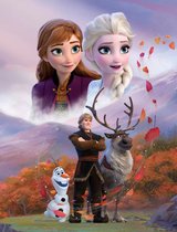 Disney Frozen Plaid GROOT - 130 x 170cm - Fleece Deken - Frozen Fleecedeken - Cadeau Meisje 5 Jaar - Cadeau Meisje 3 Jaar - Verjaardagscadeau Meisje - Cadeau Kind