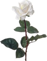 NUPTIO 2 stuks kunstbloemen, 15 koppen, kunststof rozen met sokkel, geschikt voor winkel, bruiloft centrepiece, bloemenrek voor feesten, Valentijnsdag, decoratie (champagne & wit NUPTIO 2 stuks kunstbloemen, 15 koppen, kunststof rozen met sokkel, geschikt voor winkel, bruiloft centrepiece, bloemenrek voor feesten, Valentijnsdag, decoratie (champagne & wit