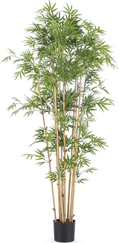 Greenmoods Bamboe - Kunstplant - Japanse Bamboe - 170 cm