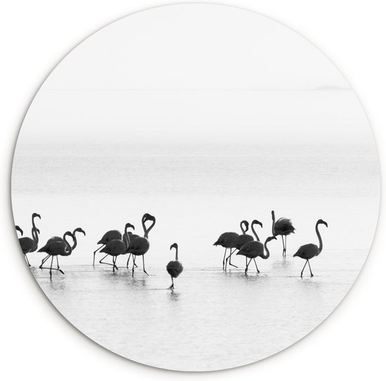 WallCircle - Wandcirkel ⌀ 150 - Flamingo's - Water - Natuur - Zwart wit - Ronde schilderijen woonkamer - Wandbord rond - Muurdecoratie cirkel - Kamer decoratie binnen - Wanddecoratie muurcirkel - Woonaccessoires