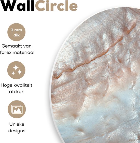 Cercle mural - Cercle mural intérieur - Coquillages - Abstrait - Nature - 30x30 cm - Décoration murale - Peintures ronds - Décoration chambre adulte