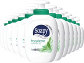 12x Soapy Hygiene Pomp 300 ml