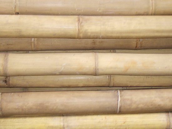 Bamboestok bamboepaal bamboestam Java ø 40-60mm Lengte 100cm van Happy Bamboo