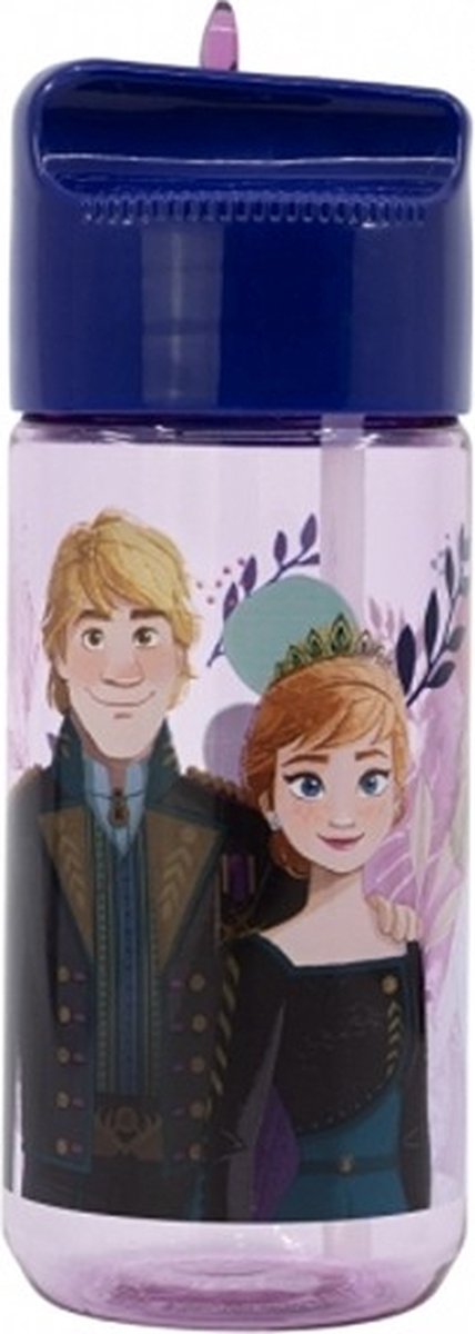 Disney Frozen drinkfles - 430 ml