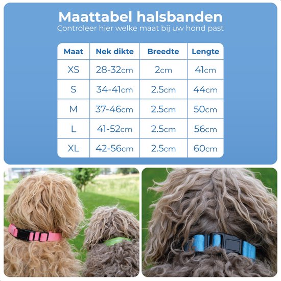 *Amélioré* Collier Led Chien Chat Taille M 37 - 46 cm Rechargeable USB - Collier Extra Fort Blauw - Dutchwide