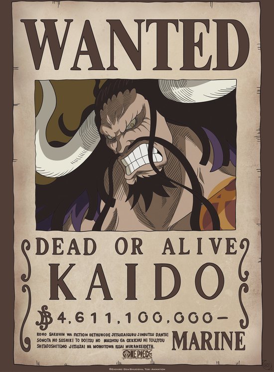 Poster One Piece Wanted Kaido 38x52cm