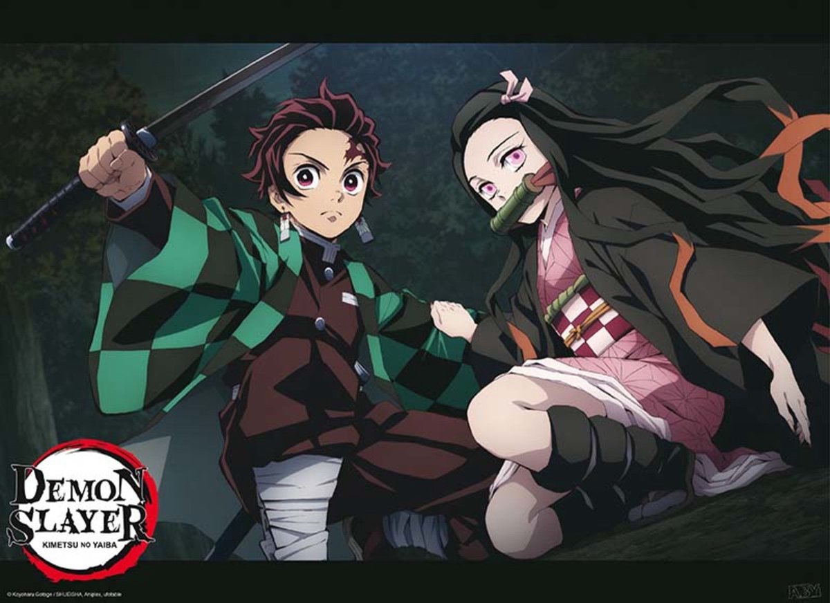 Poster Demon Slayer - Tanjiro And Nezuko Fight Position 52x38cm