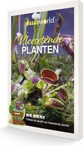 vdvelde.com - Vleesetende Planten Boek - Vleesetende plant verzorging tips - Ontdek Swampy en alles wat je wilt en moet weten over vleesetende plantjes.