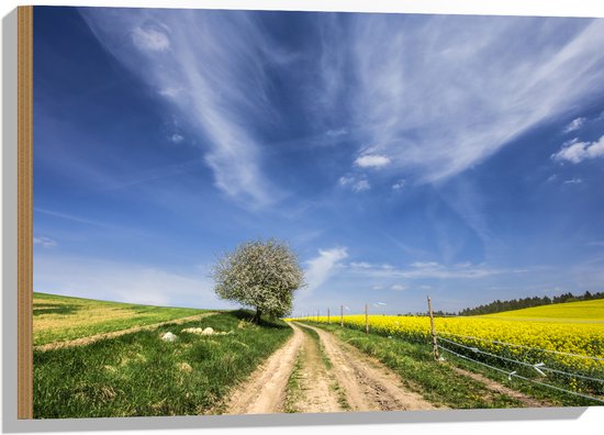 Hout - Landschap - Boom - Natuur - Bloemen - Gras - 75x50 cm - 9 mm dik - Foto op Hout (Met Ophangsysteem)
