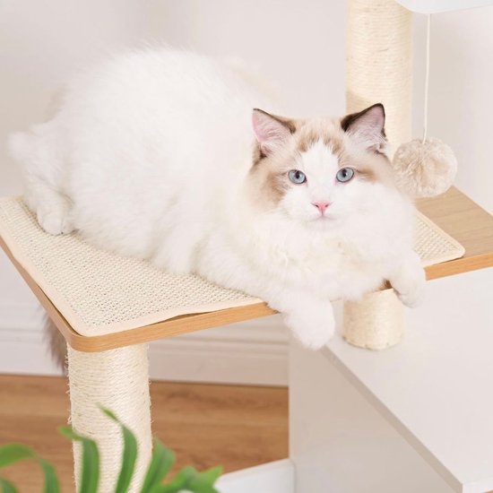 Hey-brother Krabpaal, kattenboom voor grote katten, stabiel met