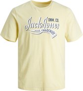 JACK&JONES JUNIOR JJELOGO TEE SS NECK 2 COL 23/24 NOOS JNR Jongens Overhemd - Maat 164