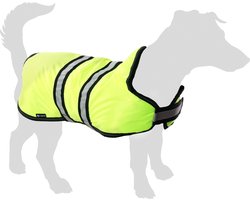 Flamingo Winterjas Eisbär voor Honden - Fluo Geel - Maat 65 cm (A: 65 cm, B: 66-75 cm, C: 78-90 cm) - Ideaal voor Labrador, Australian Shepherd, Braque, Border Collie en Ierse Setter.