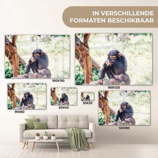 MuchoWow® Peinture sur verre 60x40 cm - Peinture sur verre acrylique - Singe chimpanzé en gros plan assis dans la forêt - Photo sur verre - Peintures