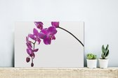 MuchoWow® Glasschilderij 30x20 cm - Schilderij acrylglas - Orchidee tegen witte achtergrond - Foto op glas - Schilderijen