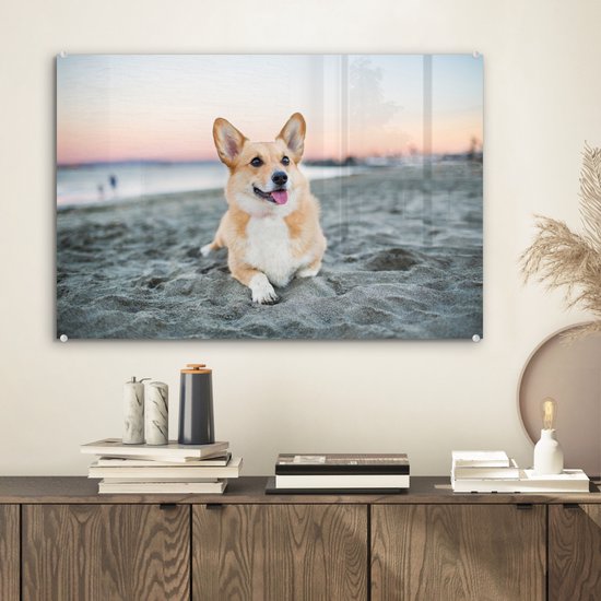 Chien sur la plage en Glas 60x40 cm - Tirage photo sur Glas (décoration murale en plexiglas)