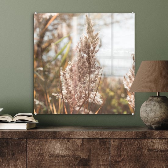 MuchoWow® Peinture sur verre 50x50 cm - Peinture sur verre acrylique - Roseau - Soleil - Plante - Photo sur verre - Peintures