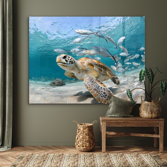 MuchoWow® Glasschilderij 160x120 cm - Schilderij acrylglas - Schildpad - Vis - Zee - Foto op glas - Muurdecoratie woonkamer - Wanddecoratie slaapkamer - Schilderijen
