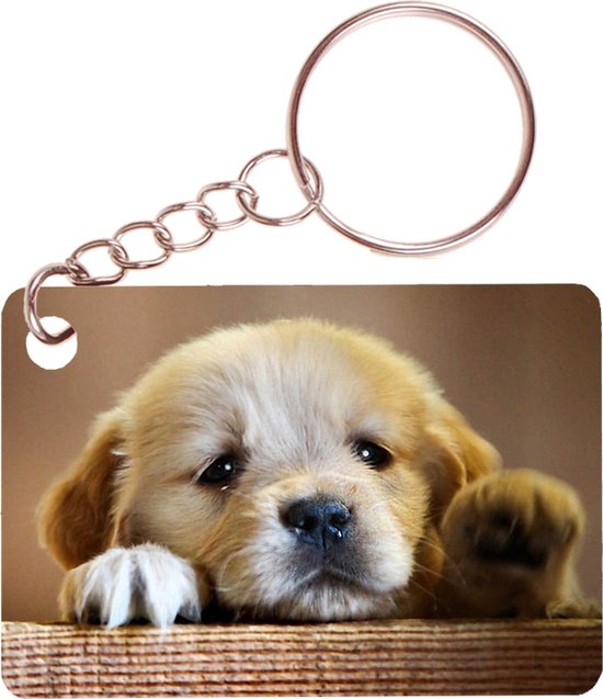 Sleutelhanger 6x4cm - Golden Retreiver Pup