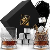Whisky glazen set retro look met roestvrij staal Ice Cubes 11-delig 2 whiskyglazen 250 ml kristallen glazen mannengeschenken