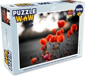 Puzzel Wilde rode klaprozen in een groot veld met een zwart witte achtergrond - Legpuzzel - Puzzel 1000 stukjes volwassenen