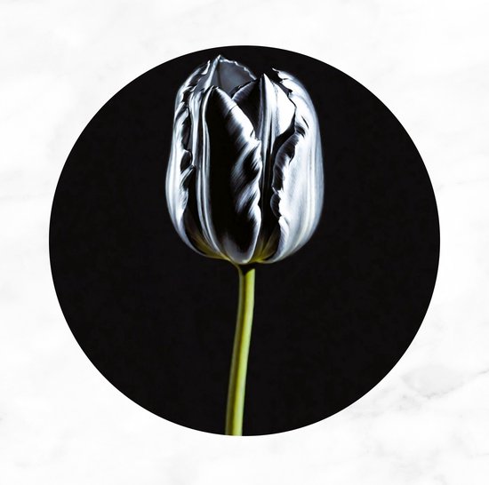 De Muurdecoratie - Tulp schilderij zilver 90x90 cm - Muurcirkel bloemen - Rond schilderij - Wandschalen - Wanddecoratie slaapkamer - Muurdecoratie industrieel - Schilderij bloemen