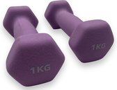 Bol.com Padisport - Dumbells 1 Kg - Halter - Gewichten Set Halters - Gewichten 1 Kg - Paars - Gewichten - Dumbells - Halters - G... aanbieding