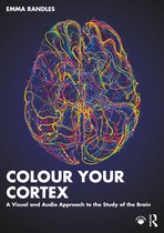 Colour Your Cortex