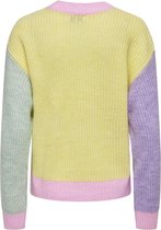 Only Onlmanna Ls O-Neck Yellow Pear /Green MULTICOLOR S