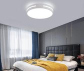 Delaveek- Ronde Moderne LED Plafondlamp- 18W 2025LM- Koel Wit 6500K - Dia 30cm