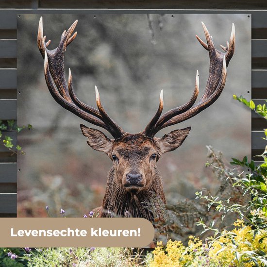Affiche de Jardin Cerf - Nature - Automne - Animaux de la forêt - 200x200 cm - Toile de jardin - Affiche d'extérieur