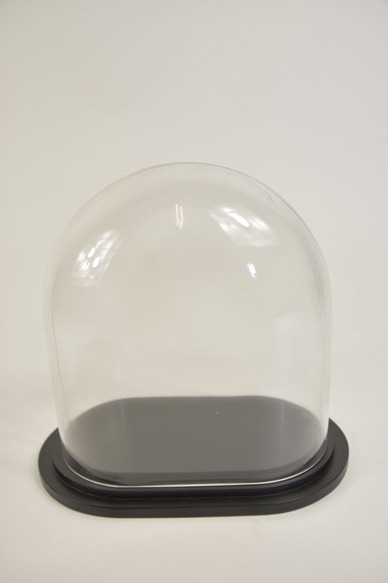 Cloche ovale S verre transparent 18x11x20cm plateforme en bois noir