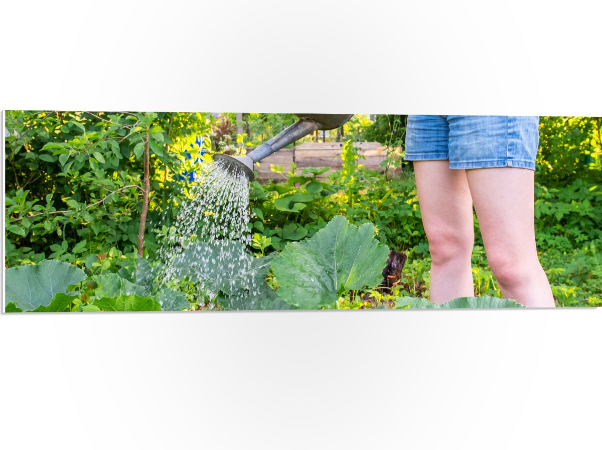 PVC Schuimplaat- Tuin - Bloemen - Planten - Gieter - Water - Groen - 90x30 cm Foto op PVC 