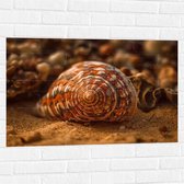 Muursticker - Schelp - Closeup - Zand - Strand - 90x60 cm Foto op Muursticker