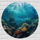 Muursticker Cirkel - Oceaan - Zee - Dieren - Vissen - Koraal - Kleuren - 70x70 cm Foto op Muursticker