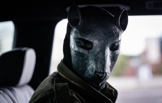 Een persoon in een zwart masker van een katachtig dier, zittend in een auto.