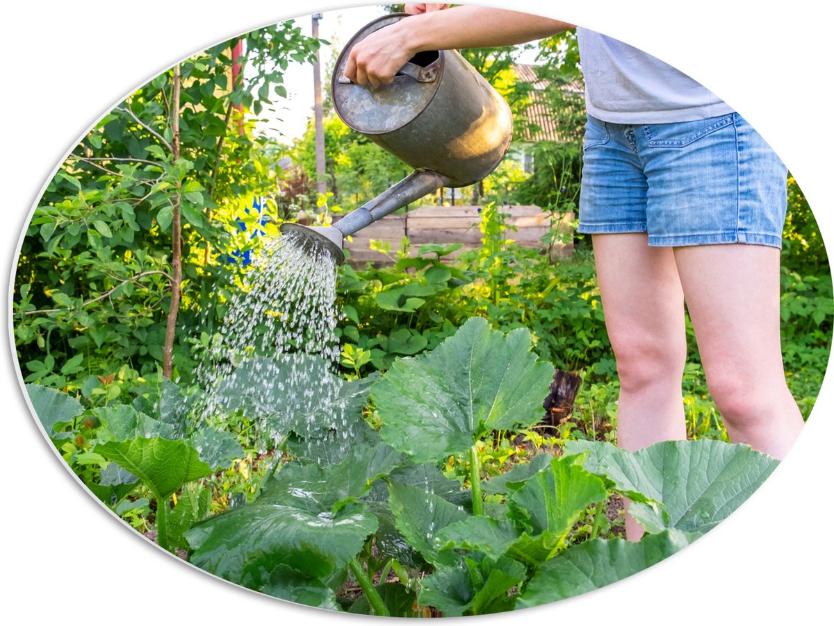 PVC Schuimplaat Ovaal - Tuin - Bloemen - Planten - Gieter - Water - Groen - 56x42 cm Foto