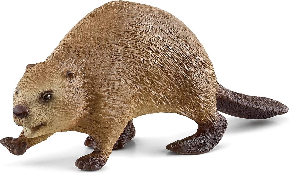 Schleich WILD LIFE