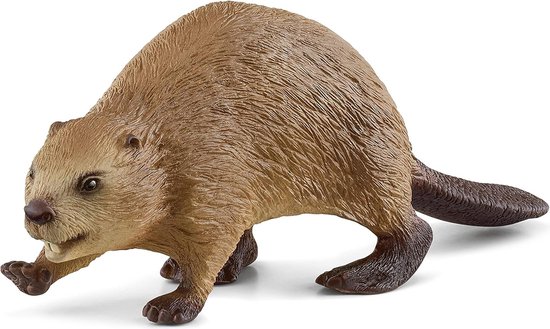 schleich WILD LIFE - Bever - 14855