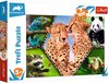 Trefl - Puzzles - "100" - Beautiful nature / Discovery Animal Planet