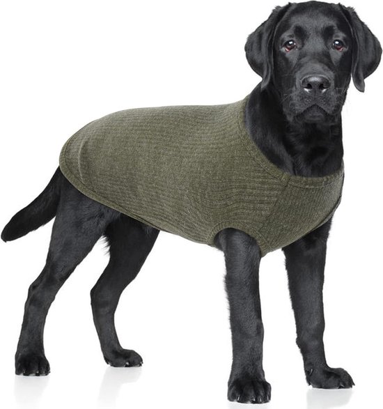 Pull tricoté pour chien, chat, chiot, Hjumarayan printemps été gilet pour  chien... | bol