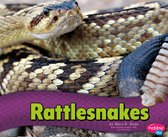 Snakes - Rattlesnakes