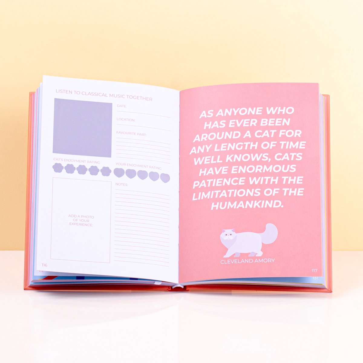 Gift Republic Scratch Book - My Cat Journal